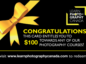 $100 Gift Certificate