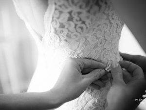 Lightroom II - ONLINE