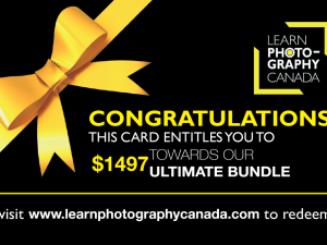 Gift Certificate – Ultimate Bundle