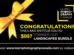 Gift Certificate – Landscape Bundle