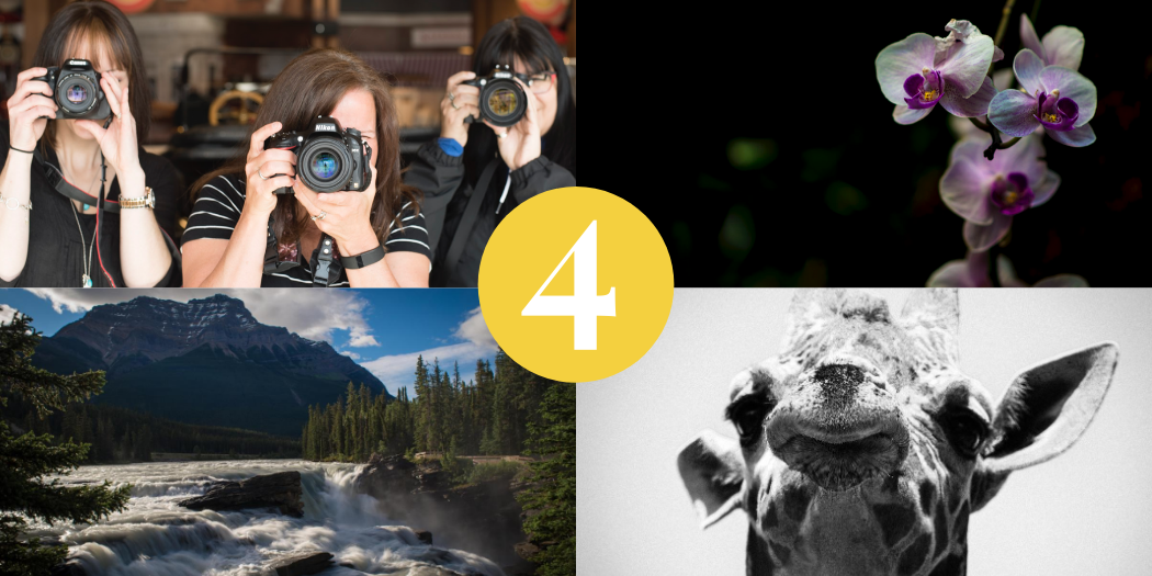 Gift Certificate – Landscape Bundle - Image 2