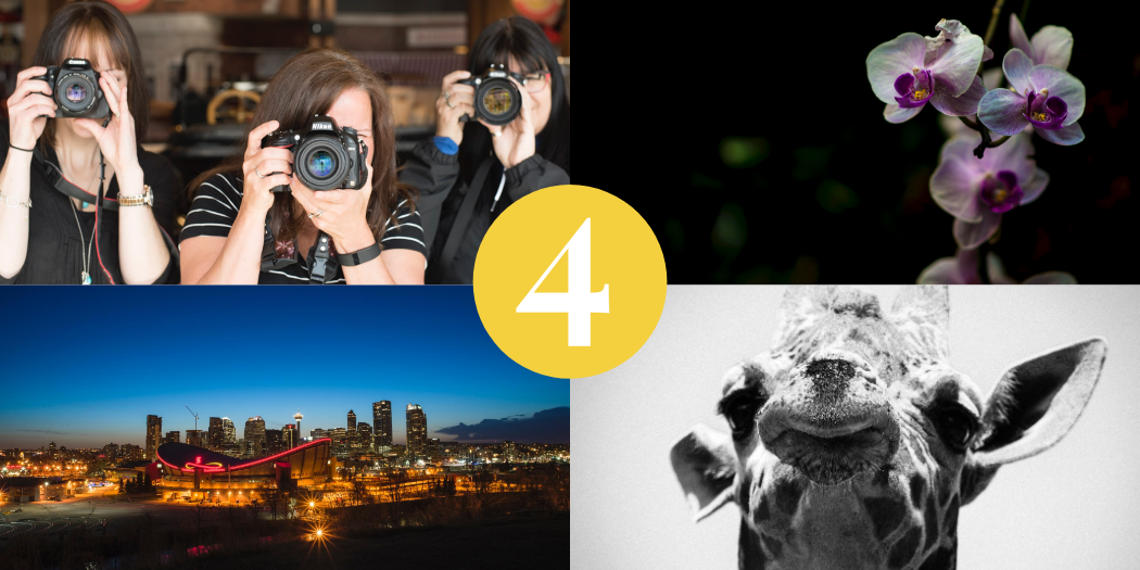 Gift Certificate – Urban Explorer Bundle - Image 2
