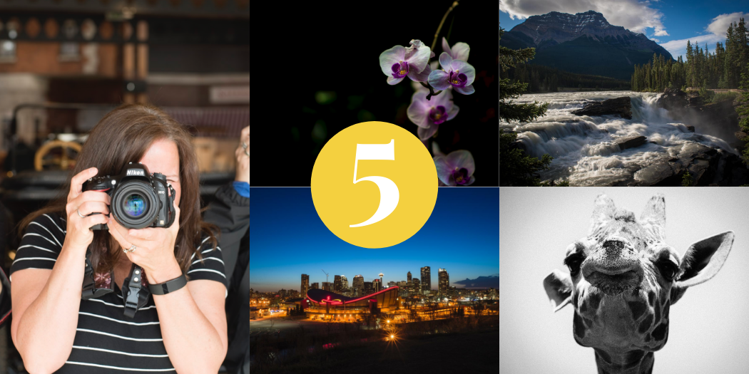 Gift Certificate – Travel Bundle - Image 2