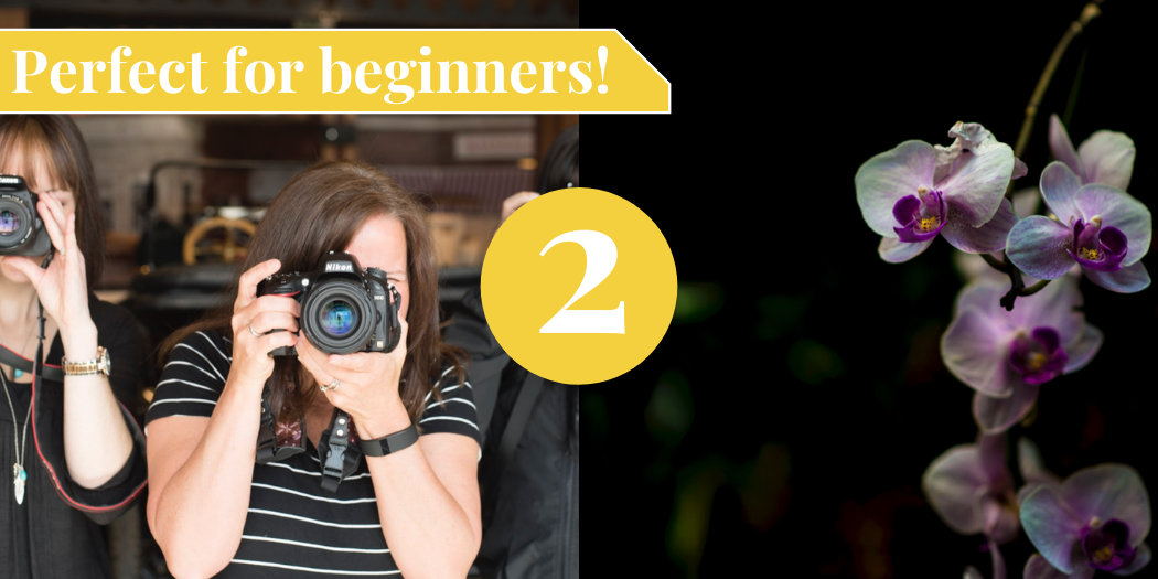Gift Certificate – Starter Bundle - Image 2