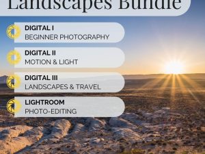 Landscapes Bundle