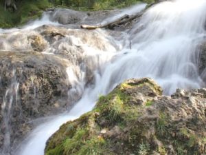 One Registration for the Tobermory Weekend Landscape Escape: Single Occupancy