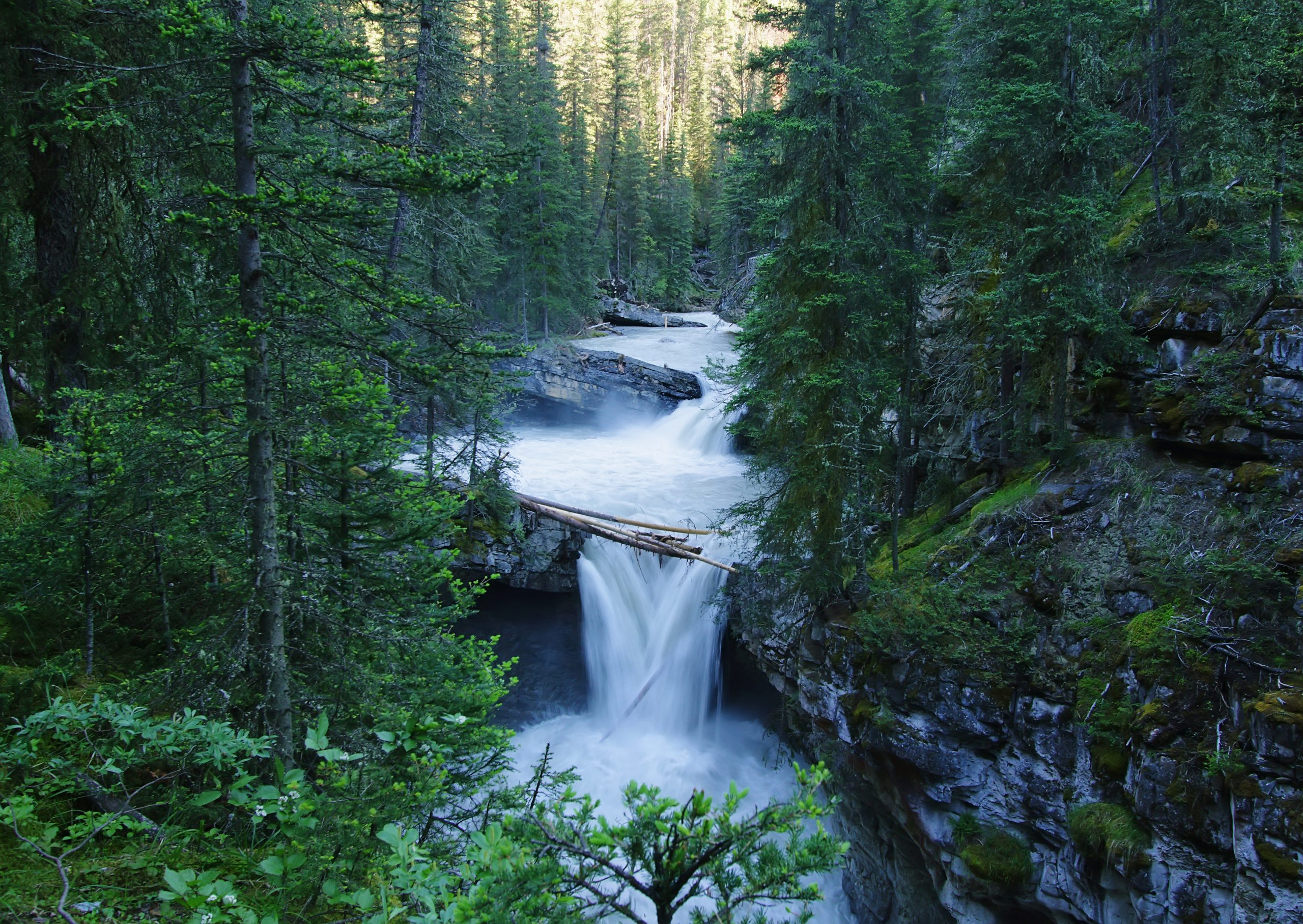 Kananaskis Rocky Mountain Private Photography Day Trips - Image 3