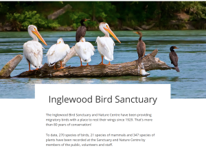 Inglewood Nature Photography Workshop: Landscapes & Birds: Sunday May 18, 2025