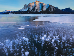 Rocky Mountain Bubbles: Landscapes & Love Stories Saturday February 7, 2026