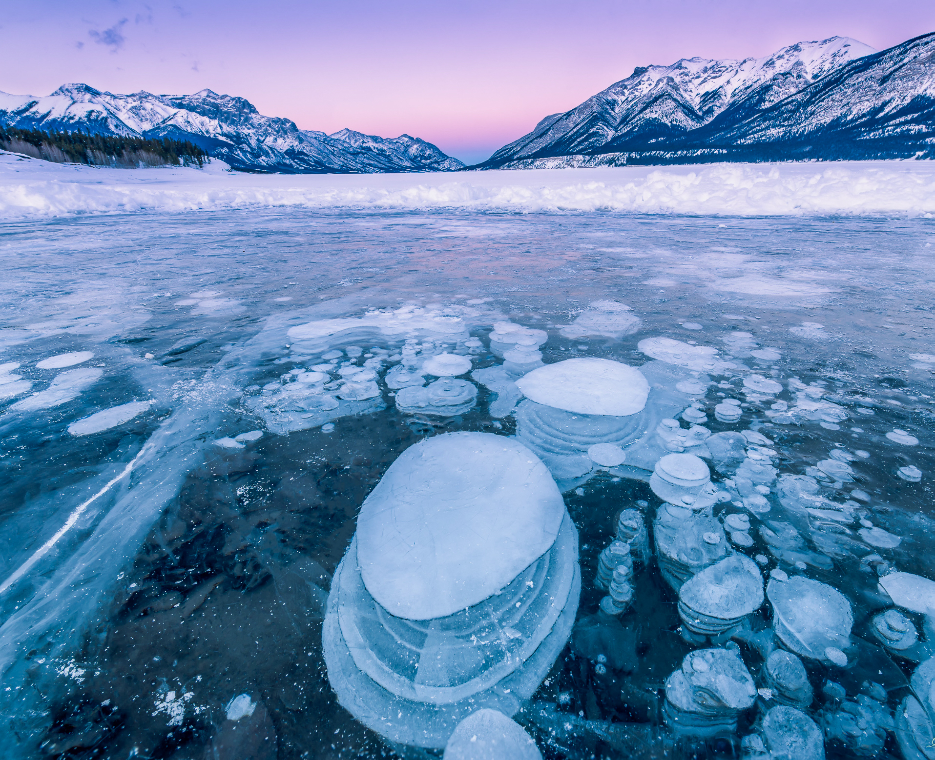 Rocky Mountain Bubbles: Landscapes & Love Stories Saturday February 7, 2026 - Image 2