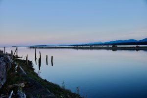 Calm waters of Courtenay Estuary reflecting soft blue hour sky at dusk