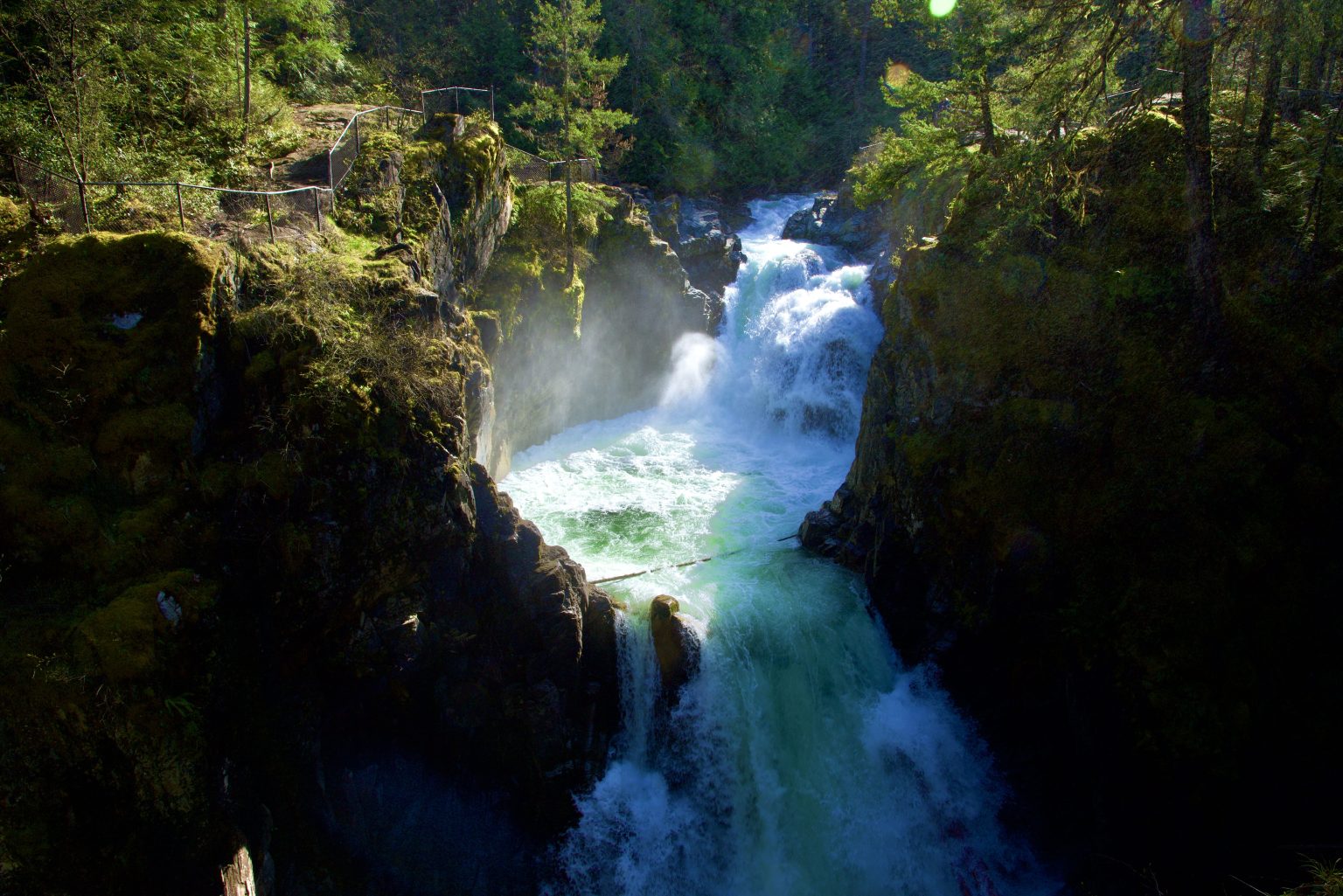 Powerful waterfall surging through a rocky gorge at Little Qualicum Falls Provincial Park